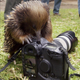 An echidna climbs on a camera in Australia.